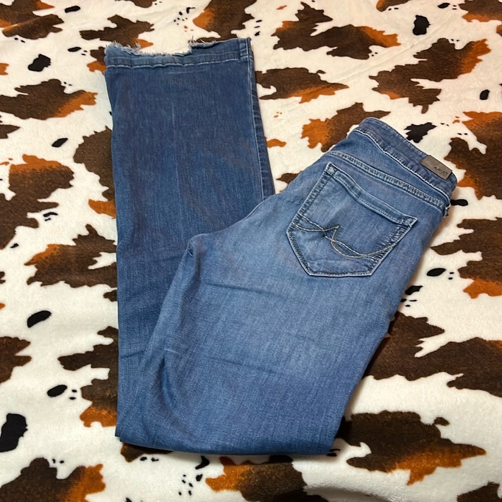 Ariat Trouser